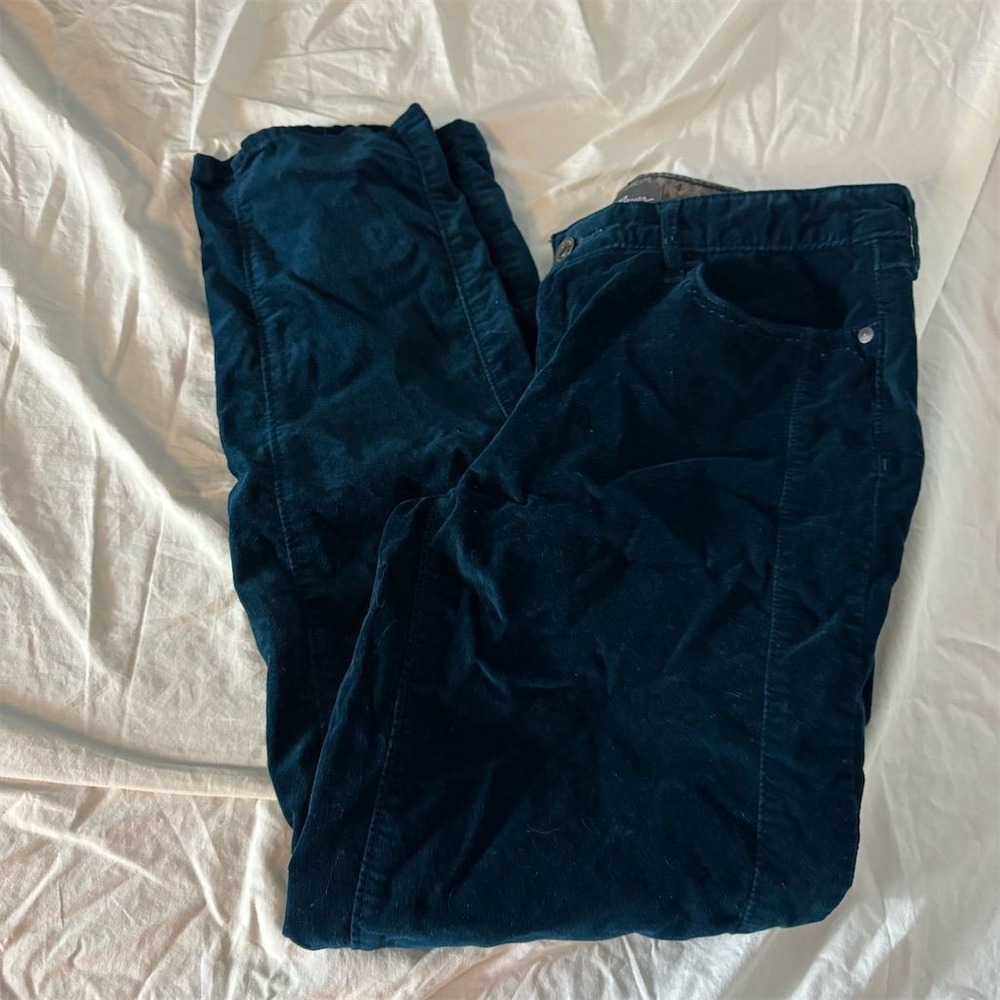 Eddie Bauer women’s size 10 velvet Pants - Dark teal Blue very soft